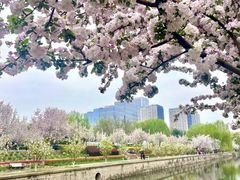 -元大都城垣遗址公园