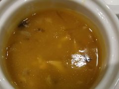 鲍参翅肚羹-天福苑(崇宁路店)