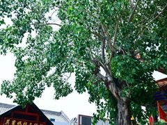 -巽寮印象美食部落餐厅·海鲜·地方特色菜(惠州体验店)