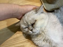 -觅时光手作·香薰·拼豆豆·陶艺DIY