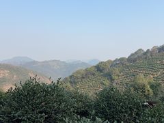 -中国湿地博物馆