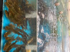 -耕渔小院·湖南鱼鲜(望城店)