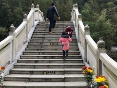 -飞来湖湿地公园