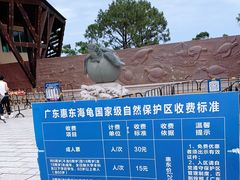 -广东惠东海龟国家级自然保护区