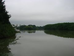 景点-大湾区中央湿地公园