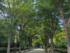 -洛阳市隋唐城遗址植物园
