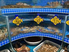 -丹东立强海鲜烧烤·牛B大串(星海店)