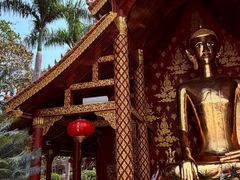 -西双版纳勐泐文化旅游区