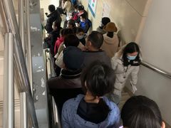 -同济大学附属口腔医院