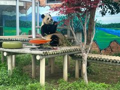 -苏州太湖国家湿地公园