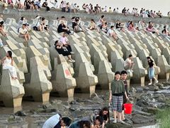 -南汇嘴观海公园