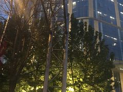 -北京北辰洲际酒店