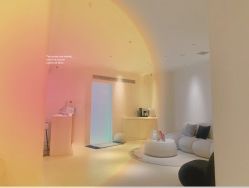 -紫御国际抗衰ZOE ANTI AGING