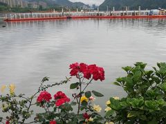 -千岛湖希尔顿休闲艇俱乐部