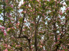 -元大都城垣遗址公园