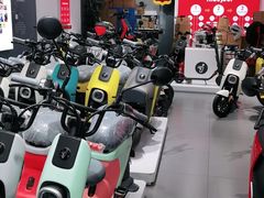 -九号电动车(安定门内大街店)