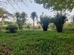 -东风公园