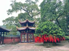-峨眉山报国寺