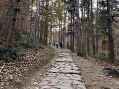 -冶父山国家森林公园