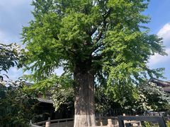 -常熟方塔园