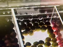 -珠海棕泉水疗酒店(拱北口岸高铁站店)