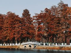 -东湖落雁景区
