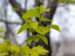 -大望京儿童游乐场