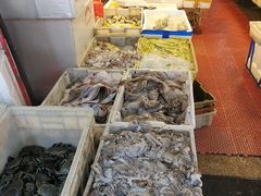 -芦潮港集贸市场