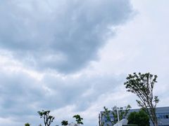 -成飞公园