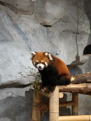 -Zoolung Zoolung动物主题公园(海信广场店)