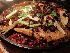 -老板恋上鱼(高新万达店)