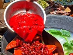 -阳阳老火锅(小南门店)