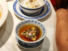 -禄鼎记·排队俩小时都要吃的酸菜鱼(石牌桥店)