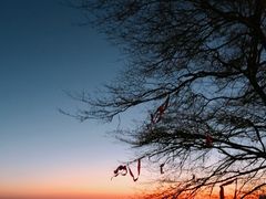 -华山风景名胜区