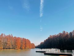 -上海海湾国家森林公园