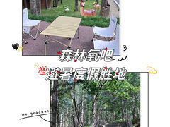 -洛阳白云山景区