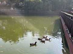 -贮水山儿童公园