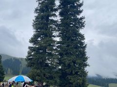 -新疆那拉提国家旅游度假区