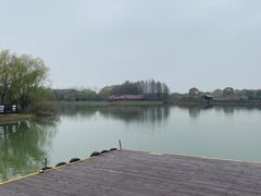 -苏州太湖国家湿地公园