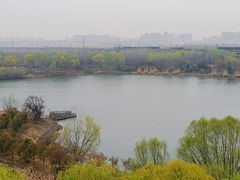 -西安浐灞国家湿地公园