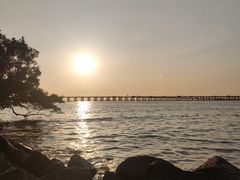 -宝安西湾红树林湿地公园