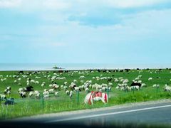 -青海湖国家重点风景名胜区
