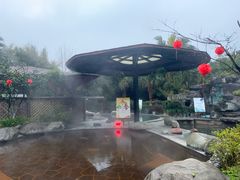 -雅安楠水阁温泉酒店