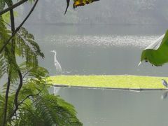 -重庆彩云湖湿地公园