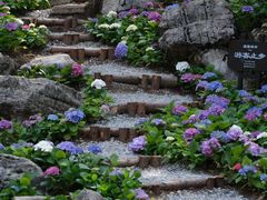 -梭布垭石林景区