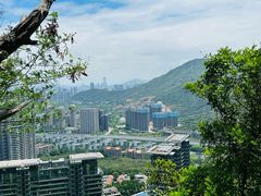-小南山公园