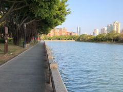 -白鹭洲公园