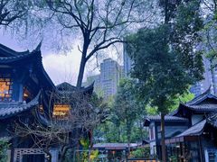 -大妙火锅·非物质文化遗产(东湖公园店)