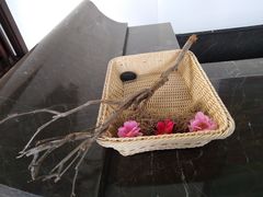 -英德宝晶宫天鹅湖茶语温泉