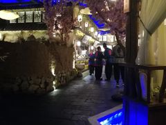 -淀里船宴(裕华东路店)